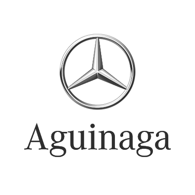 Mercedes Aguinaga